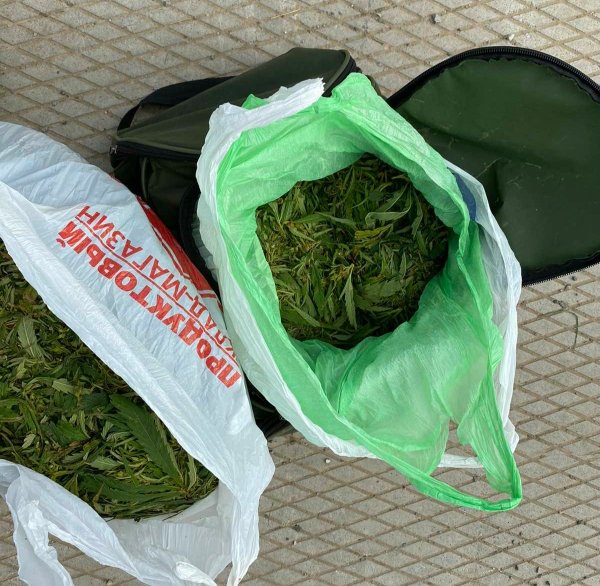 В Вагайском районе задержаны мужчины, незаконно хранившие марихуану